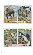 Antique chromos pictures d'occasion  Expédié en Belgium