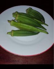 Usado, Okra Quiabo Combo ( 100 semillas ) seeds   Abelmoschus esculentus comprar usado  Enviando para Brazil