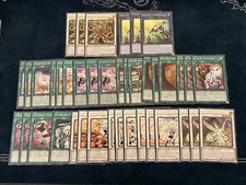 Yummy Deck Core Rare & Supers Playsets Deck Extra 40 Cartas Yugioh Justice Hunter comprar usado  Enviando para Brazil