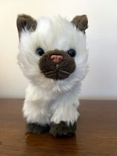 American girl himalayan for sale  Cincinnati
