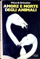 Amore morte degli usato  Italia