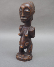 Good small african for sale  SHREWSBURY