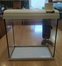 Litres tetra fish for sale  LONDON