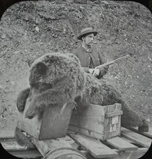 grizzly for sale grizzly for sale ST. ALBANS