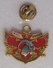 Insigne colo pin d'occasion  Saint-Jean-de-Braye