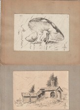 Disegni matita carboncino usato  Cirie