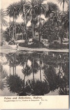 Inde palms and d'occasion  France