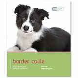 Border collie dog for sale  USA