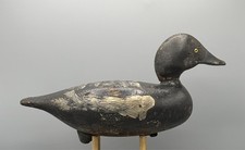 Early working goldeneye for sale  Franklin