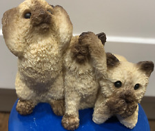 Stone critters kittens for sale  Ardmore