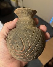 Northeast louisiana native for sale  Lafayette