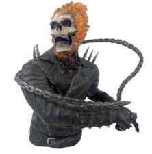 Ghost rider movie for sale  Garnerville