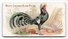 1891 allen ginter for sale  USA