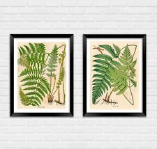 Fern art prints for sale  SUTTON