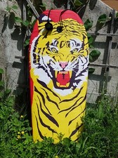 Tiger bodyboard schwimmbrett gebraucht kaufen  St. Blasien