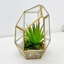 succulent terrarium for sale  STREET