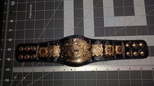 Wwe mini undisputed for sale  Levittown