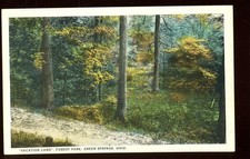 Ohio green springs for sale  Saint Marys