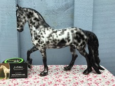 leopard appaloosa for sale leopard appaloosa for sale Corry