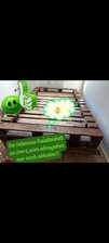 Palettenbett lattenrost matrat gebraucht kaufen  Essen