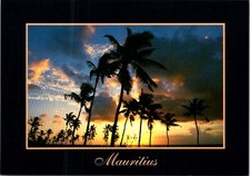 Mauritius pointe piments d'occasion  Expédié en Belgium
