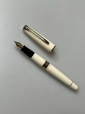 Waterman charleston art gebraucht kaufen  Appen