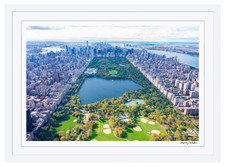 Central park new for sale  Brooklyn