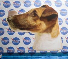 Adesivo sticker vintage usato  Italia