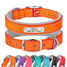 Reflective nylon dog d'occasion  Expédié en Belgium