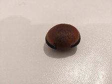 Sea bean seed for sale  Miami