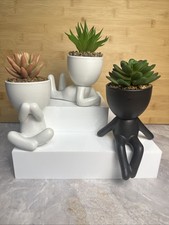 Fake succulents plants for sale  Connersville