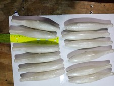 Manta shark musky for sale  Wautoma