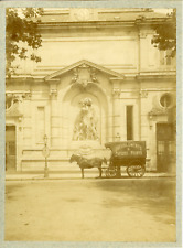 Horse and cart d'occasion  Expédié en Belgium