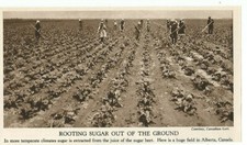 Canada alberta field for sale  WATERLOOVILLE