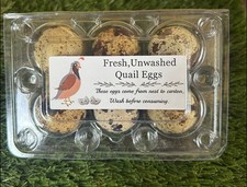quail hatching eggs for sale quail hatching eggs for sale LOWESTOFT