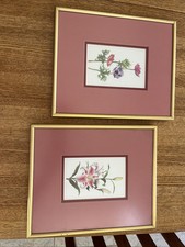 Beautiful flower framed for sale  Houston