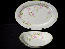 Vintage noritake serving for sale  Stanfield