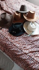 Cowboyhüte hellbraun dunkelbr gebraucht kaufen Cowboyhüte hellbraun dunkelbr gebraucht kaufen  Bochum