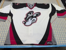 Disney mickey mouse for sale  Chandler