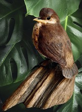 Baby birds wood for sale  Fallbrook