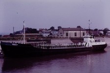 1978 berkeley sharpness for sale  WATFORD