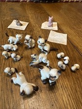 siamese kittens for sale  Jonestown