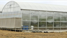 Professional 120 growspan for sale  USA