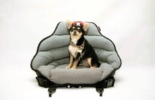 Petite pupsaver dog for sale  Alpharetta