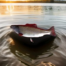 Hybrid lake trout for sale  Clinton