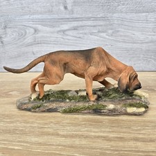 Best breed bloodhound for sale  WESTBURY