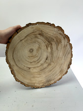 Wood slices 37cm for sale  UXBRIDGE