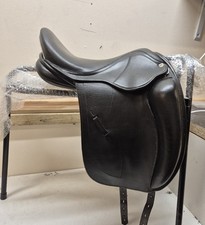 15.5 black country for sale  RICHMOND