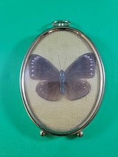 Framed 4.25 3.25 for sale  Westbury