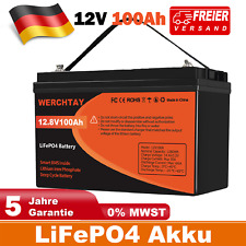 Lifepo4 100ah 12v gebraucht kaufen  Deutschland